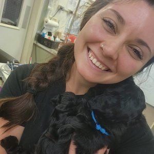 Meet your Posher, Brianna